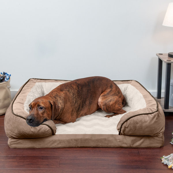 How Do You Clean A Foam Dog Bed
